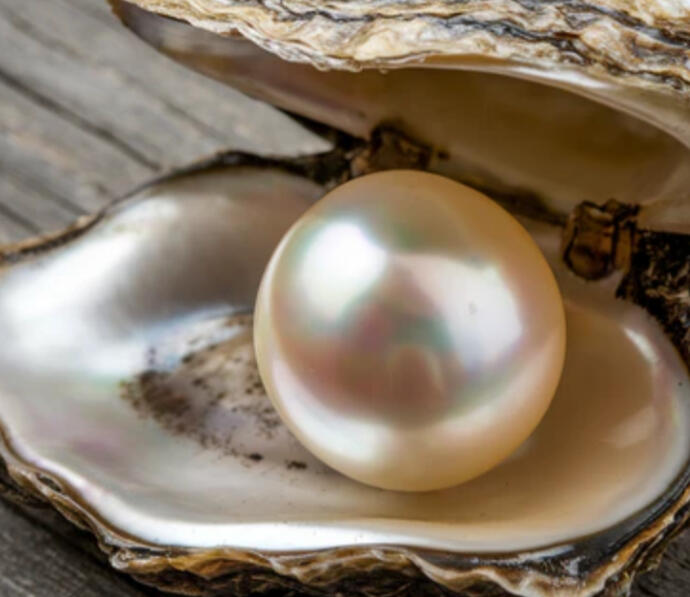 Pearl Wisdom, emotional balance, purity, feminine energy, intuition, protection during travel.